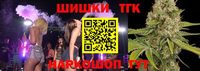 шишки Кимры