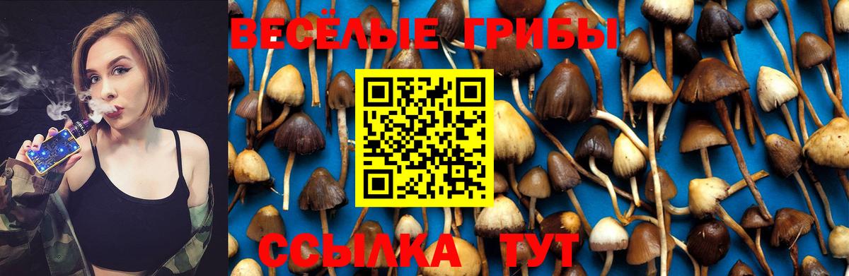 Галлюциногенные грибы Psilocybe  Вход с VPN  Кызыл 