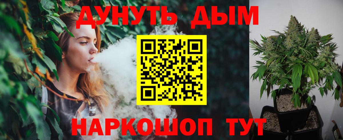 Конопля сатива Кызыл
